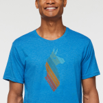 Llama Stripes T-Shirt - Men's