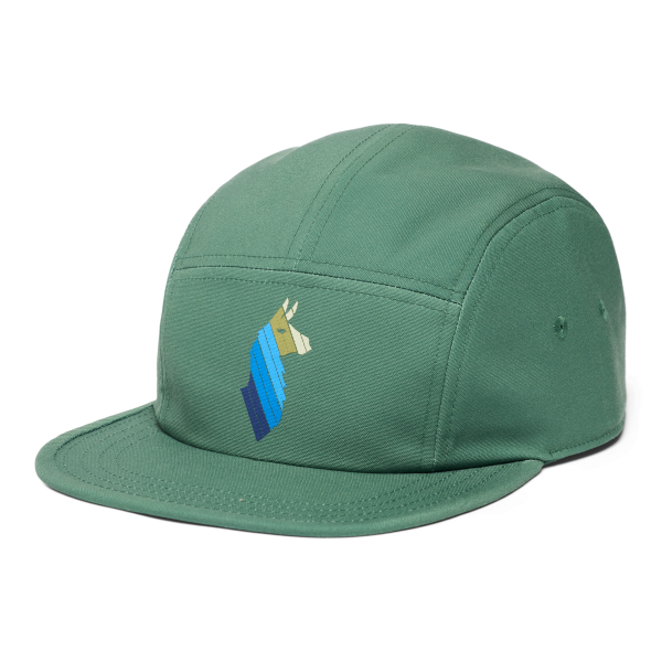 Llama Stripes 5-Panel Hat